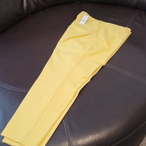 WHBM Ankle Pants